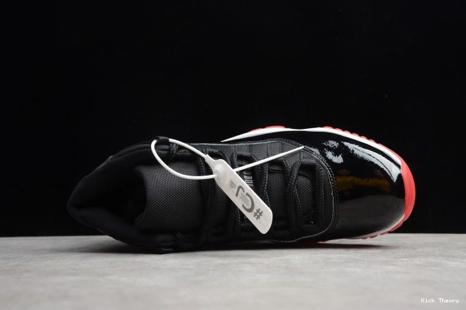 Kick Theory 378037-061 11 Air Bred(2019) Jordan 0822